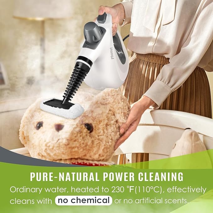 Essential Handheld Steam Cleaner